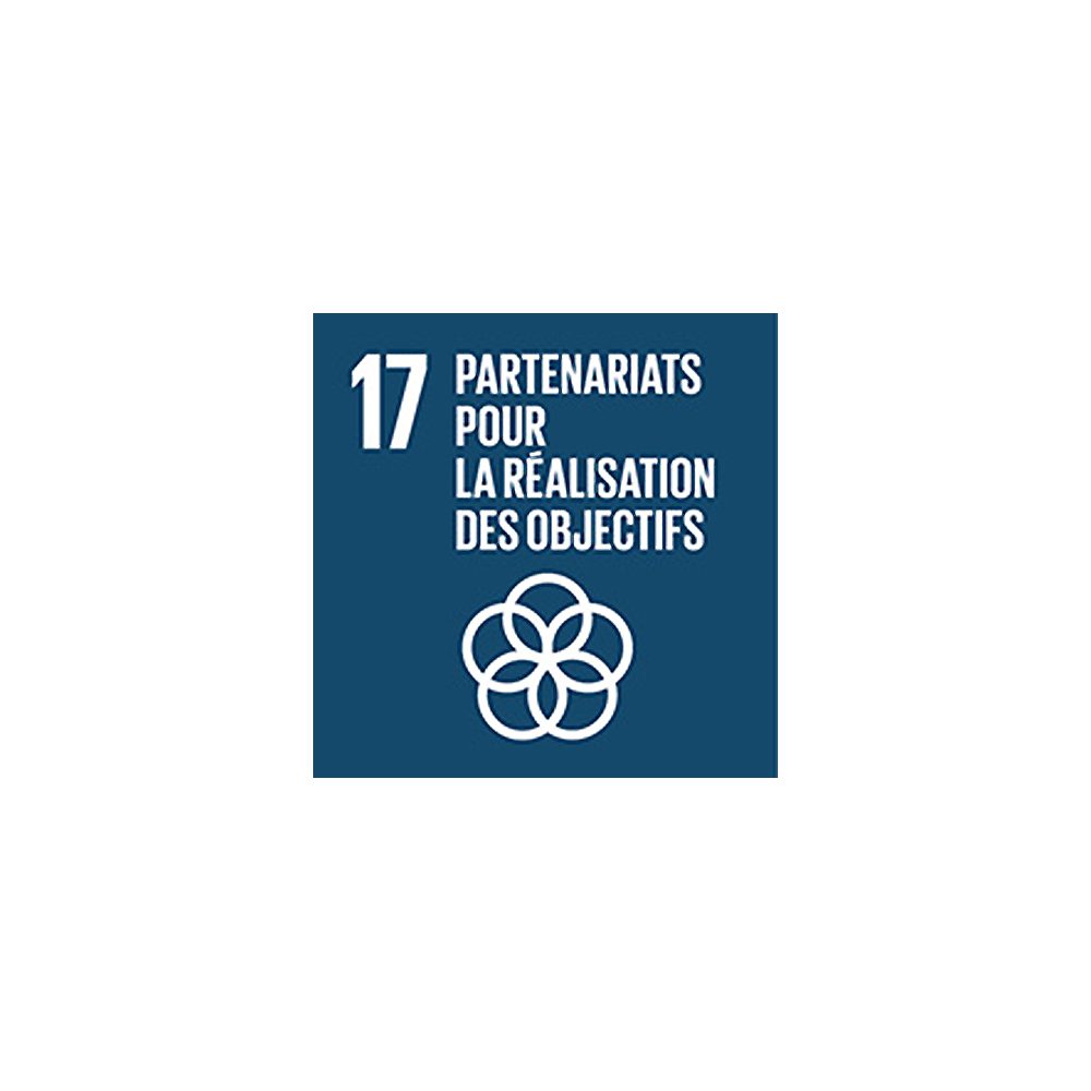 17-UNO-Zielen der Agenda 2030